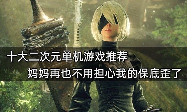 二次元单机游戏TOP10推荐，让妈妈不再担忧保底问题！
