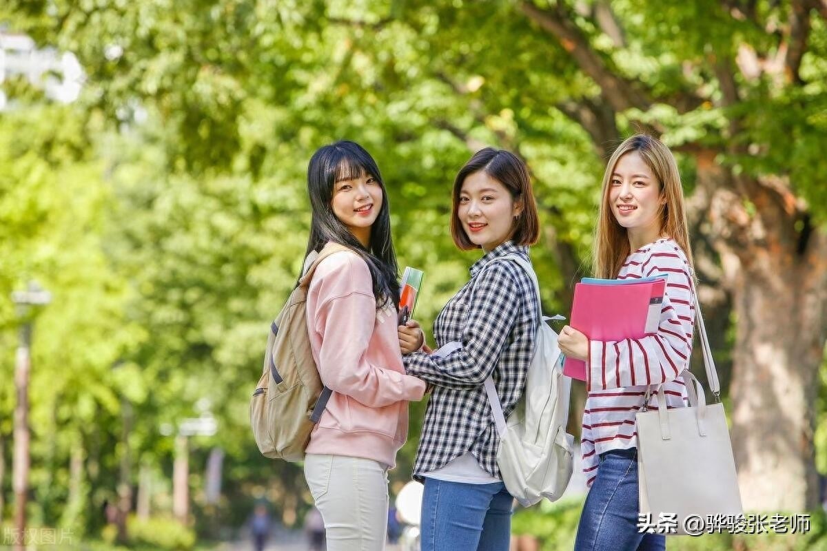 大区命名下的十所大学，盛名之下，各校独特亮点解析