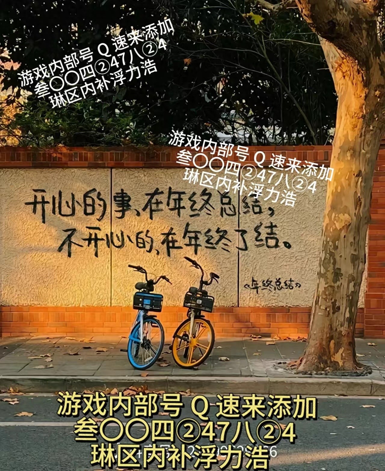 光遇游戏攻略大全，轻松掌握游戏技巧！